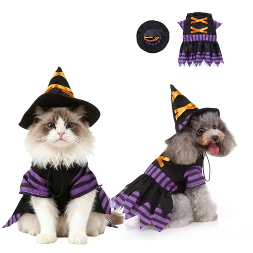 Disfraz Halloween de mago para perros tamaño M
