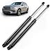 ARANA For Chevy Trailblazer GMC Envoy TAILGATE Shocks - LIFTGATE Tail Gate Hatch TRUNK Pair / 2pc / Pack of 2