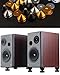 Tenlysound Hi-end Speaker Isolators Stand Feet Base Mats HiFi Speaker Spike Pads Aluminum Shock Absorber Vibration Dampener Audio Resonance Reducer for Subwoofer CD Record Player Amplifier Turntables