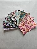Inside/Outside Decorative Fabric Iron On Patches-Set of 10 (3” x 5”) (Flower Power)