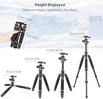 Koolehaoda Camera Mini Tripod 25inch / 63.5cm Desktop Tripod 360° Ball Head with Arca QR Plate Aluminum Portable Travel Tripod for DSLR Camera Video Camcorder, Load up to 10kg (Orange)