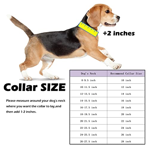 Silver Metal Dog Chain Collar With Id Tag Pendant,Dog Cuban Link Necklace Collar,Strong Stainless Steel Dog Chain,Chew Proof Dog Walking Collar For Medium Large Dogs(19Mm 20'') #TOP5