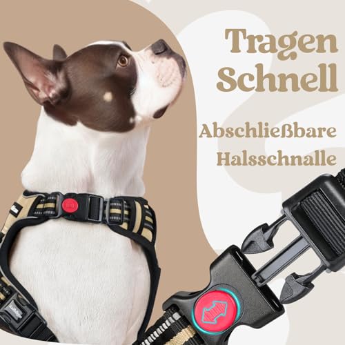 rabbitgoo Hundegeschirr Kleine Hunde, Verstellbare Geschirr Hund ohne Zug & Würgen, Anti Zug hundegeschirr mit Griff, weich Gepolsterte Reflektierende Brustgeschirr, Beige M