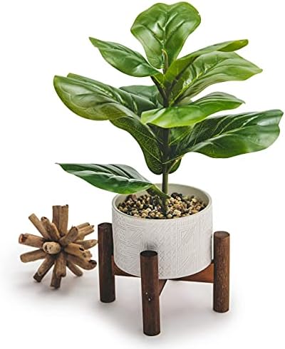 Kurrajong Farmhouse Cute Artificial Desk Plant | 15.5" Fake Plant | Artificial Plant for Home Decor Indoor | Fiddle Leaf Faux Plant for Indoors