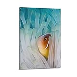 YQXTRB Poster de créatures aquatiques Amphiprion Ocellaris - Impression sur toile - Décoration murale moderne pour chambre à coucher (50 x 75 cm)