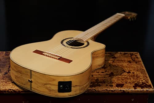 Guitare classique ORTEGA Thomas Zwijsen Signature fabriquée en Espagne avec housse luxe (TZSM/2) - Les Beatles, Paul McCartney, John Lennon, RIngo Starr, George Harrison Guitare classique ORTEGA Thomas Zwijsen Signature fabriquée en Espagne avec housse luxe (TZSM/2) – Image 6