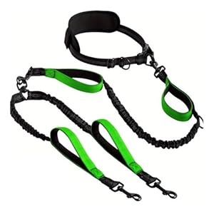 Daijianbin Doppel-Hundeleine Reflektierend für 2 Hunde Grün-Schwarz