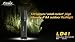 Produktbild Fenix LD41 LED Taschenlampe Cree XM-L U2 LED