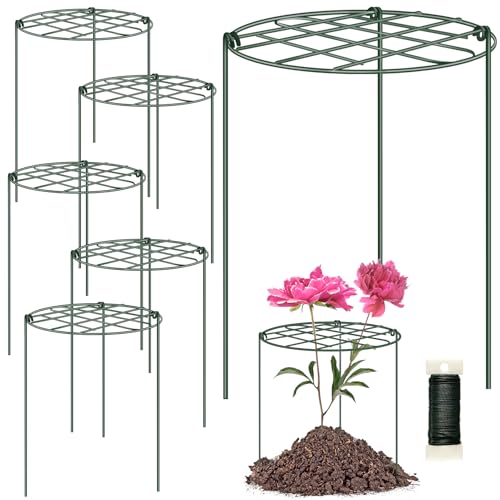NNG 6 Pack Peony Cages and Supports 12 x 16 Inch Grow Through Plant Supports for Outdoor Plants Plant Brace Flower Support Rings Hoops for Vegetables Rose Tomato Orchids