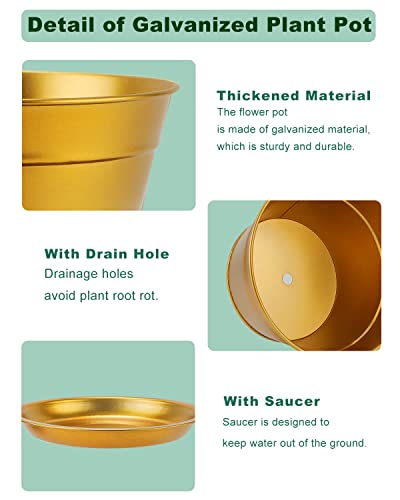 6 Inch Gold Shallow Small Metal Plant Pots With Saucer-6 Pack Medium Metal Galvanized Flower Pot With Drainage Hole,Planter Pots With Tray Perfect For Planting And Wedding Party Decor #TOP1