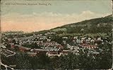View from Neversink Mountain Reading, Pennsylvania PA Original Antique Postcard