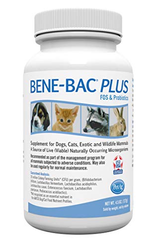 Bene-Bac Plus Prebiotic Pet Powder, 4.5 oz