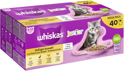 Whiskas Junior Katzennassfutter Geflügel Auswahl in Gelee, 40 Portionsbeutel, 40x85g (1 Großpackung) – Hochwertiges Katzenfutter nass, für heranwachsende Katzen von 2 bis 12 Monaten