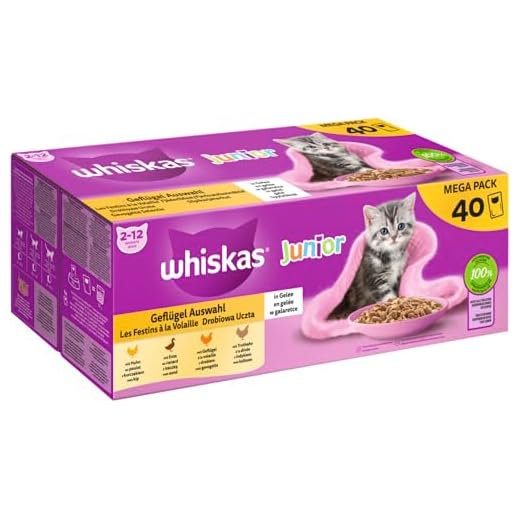 Whiskas Junior Katzenfutter in Gelee 40 Portionen