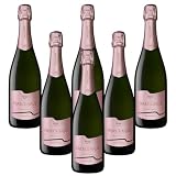 Praeclarus Spumante Brut Rosè Adige Doc Cantina Produttori San Paolo (6 bottiglie 75 cl)