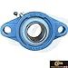SGTR 2 Pack Premium UCFL206-18 Two Bolt Flange Pillow Block Bearing, Heavy Duty Industrial Grade,1-1/8