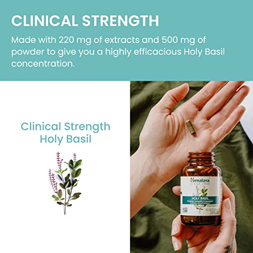 Himalaya Holy Basil Supplement