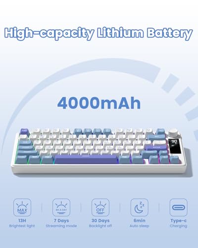 Image of Womier DK75 75% Wireless Gaming Keyboard, RGB Backlit Creamy Keyboard with Media Knob, OLED Screen, Tri-Mode 2.4GHz /USB-C /BT5.0, Anti-Ghosting No-Conflict Silent Membrane Keyboard for MAC Windows