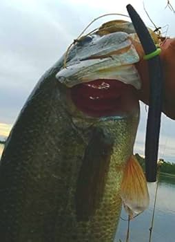 ジャッキーマリーヴォーグ「リクライニングタイガー」オフセットリトグラフ,完売目 2025年最新】Yahoo!オークション -ジャッキーマリーの中古品