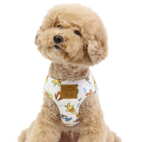 ybgp_CX  n[lX  bV xXg fBYj[ ܂̃v[ EF[u S