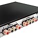OSD Audio OSD XMP300 GEN2 2X 300W Class D High Power Stereo Amplifier, Bass and Treble Control 90 dB SNR