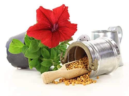 Osmocote 'Exact' - Professional Slow Release Plant Fertiliser - 12-14 Months of Nutrients - Plants Fertiliser - Slow Release Fertilizer - Ideal for all Plants (500 Gram)