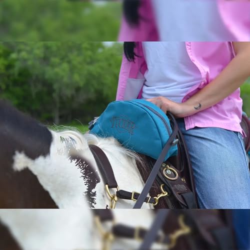 Tucker Day Tripper Pommel Bag - Durable Water Resistant Horse Trail Riding Saddle Pouch with Double Compression Attachment Straps & Side Buckle, Turquoise Blue