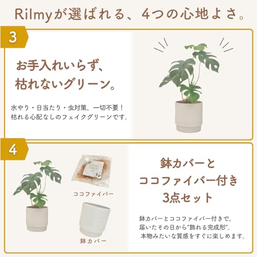 観葉植物 フェイクグリーン (グレーモンステラ) [5]