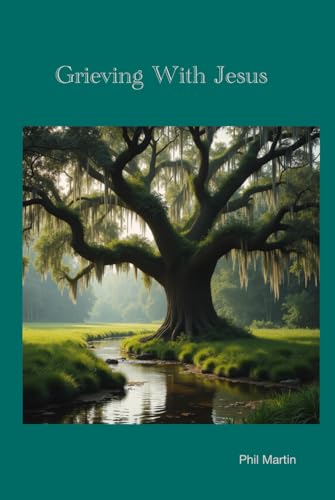 Grieving With Jesus