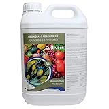 El extracto de algas marinas es rico en hormonas de crecimiento vegetal tales como citoquininas, giberelinas y auxinas, y moléculas orgánicas naturales que incluyen betaínas, manitol, polisacáridos y aminoácidos.