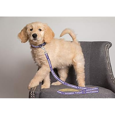 Pets First NFL Licensed Baltimore Ravens Pet Leash, Size Medium Durable Satin Dog & Cat Walking Strap and Pet Tether with Embroidered Team Name & Logo