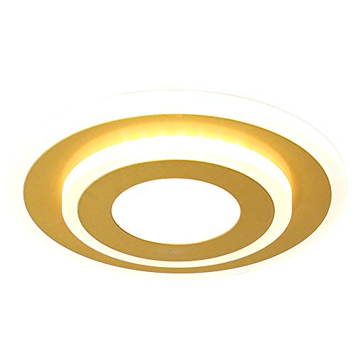 Luminaires contemporains LED de plafond pour une allée élégante