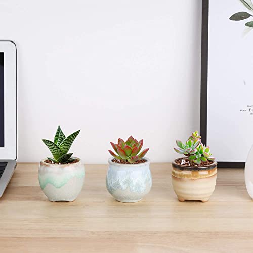 T4U Small Ceramic Succulent Pots With Drainage Set Of 6, Mini Pots For Plants, Tiny Porcelain Planter, Air Plant Flower Pots Cactus Faux Plants Containers, Modern Decor For Home And Office #TOP4