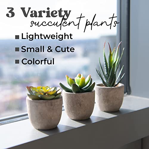 Set Of 3 Succulents Plants Artificial Small Fake Plants Bedroom Aesthetic, Potted Fake Succulent Office Desk Decor, Faux Succulents In Pots Fake Plant Decor Cactus Decorations Mini Fake Plants Office #TOP3
