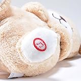 Kögler 45239 - Atmendes Einschlaf-Plüschtier Hund, ca. 26 cm groß, mit Atembewegungen und Leuchtfunktion auf Knopfdruck, mit Einschlafmusik für Babys und Kinder, batteriebetrieben