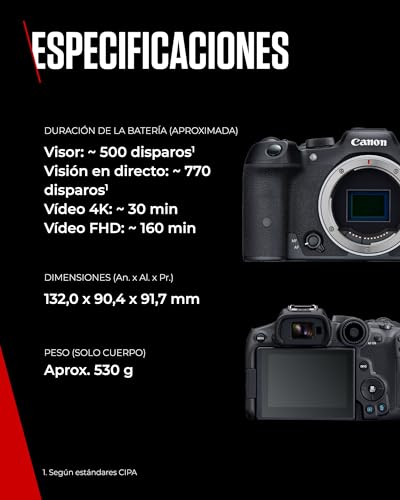 Cámara mirrorless Canon EOS R7, APS-C (32.5 MP), 4K a 60 fps, pantalla táctil ajustable, negro. - Fernando Cortés