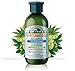 CORPORE SANO HOPS, THYME & FENNEL SHAMPOO-Certified organic growing-HYPOALLERGENIC-PARABENS FREE-ANTI-DANRUFF-300 ML/10.1 FL OZ