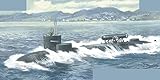 MIKRO-MIR SSN-683 Parche