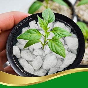 XL Coarse Perlite #4 for All Plants - Horticultural Soil Additive Conditioner Mix - Grow Media - Orchids • Hydroponics - 2L Cz Garden