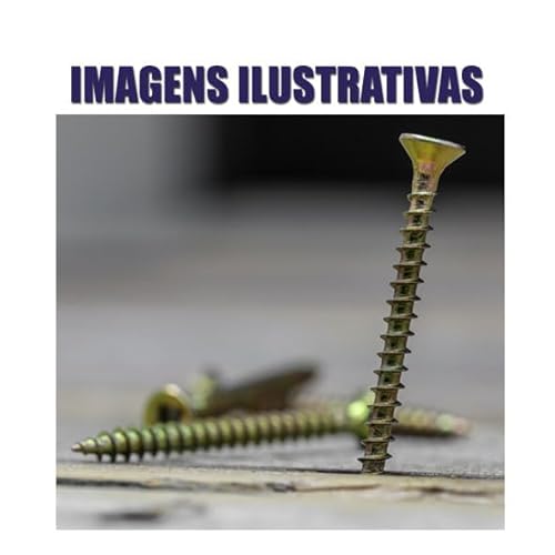 Kit 500 Parafusos Chipboard Marcenaria + Maleta organizadora