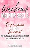 Weckruf meiner Seele Depression und Burnout als Chance verstehen, transformieren und Lebensfreude wecken