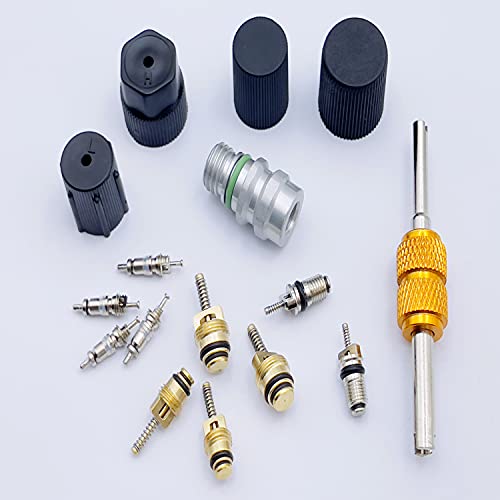 Aracey Air Conditioning Valve Core Kit | Cap & Valve Ac R12 R134A Teflon Seal Refrigeration A/C Air Conditioning Service Valves Car & Hvac Ac System Charging Port Seal Caps Kit thumb #6