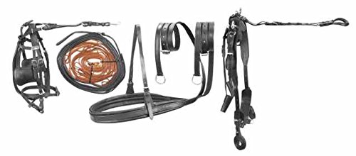  Umbria Equitazione Finimento calesse in Cuoio Superiore, Completo Cura del Cavallo e Scuderia finimenti