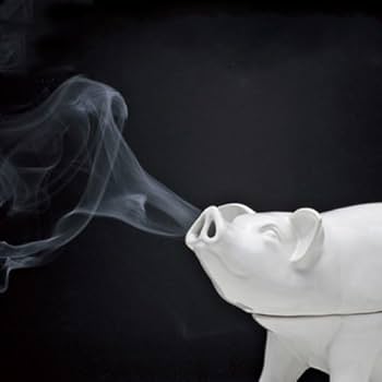 Amazon.co.jp: reina 豚型香遣り 【蚊取り線香・お香用