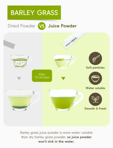 Adderenity Korean Barley Sprout Grass Juice Powder, Stick Type 1G X 100 Sticks, 3.52Oz #TOP3