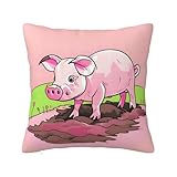 Structure des accessoires : la fermeture éclair invisible en bas est adoptée, ce qui est beau, simple et pratique pour remplacer le noyau intérieur. La taie d'oreiller peut être remplacée selon la saison, etc.