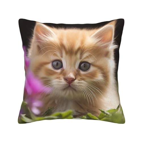 Housse de coussin chat en velours côtelé 45x45 cm pour canapé - 2