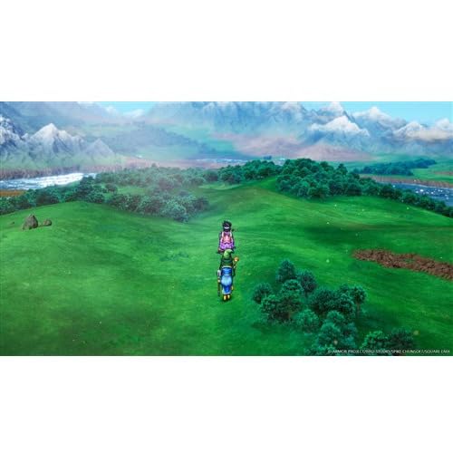 Amazon.co.jp: (Nintendo Switch版)【STORE 限定特典:ピンズ ロトの剣 