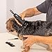 Agrarzone Edition Wahl 1400 Schermaschine Hund mit Aufsteckkamm-Set - Leise Tierhaarschneidemaschine Moser für kleine Hunde wie Yorkshire Terrier - Ergonomisch & langlebig