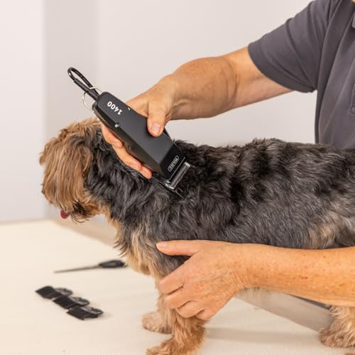 Agrarzone Edition Wahl 1400 Schermaschine Hund mit Aufsteckkamm-Set - Leise Tierhaarschneidemaschine Moser für kleine Hunde wie Yorkshire Terrier - Ergonomisch & langlebig